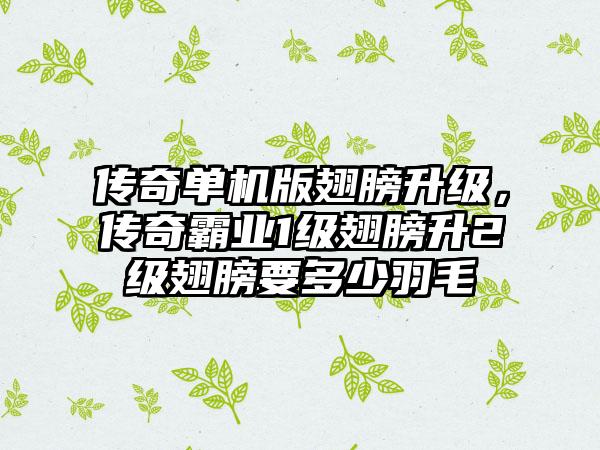 传奇单机版翅膀升级，传奇霸业1级翅膀升2级翅膀要多少羽毛