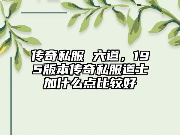 传奇私服 六道，195版本传奇私服道士加什么点比较好