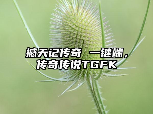 撼天记传奇 一键端，传奇传说TGFK