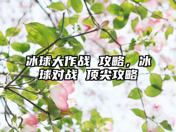 冰球大作战 攻略，冰球对战 顶尖攻略