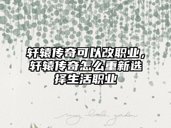 轩辕传奇可以改职业，轩辕传奇怎么重新选择生活职业