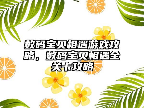 数码宝贝相遇游戏攻略，数码宝贝相遇全关卡攻略