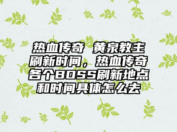 热血传奇 黄泉教主刷新时间，热血传奇各个BOSS刷新地点和时间具体怎么去