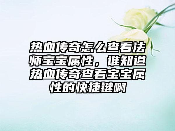 热血传奇怎么查看法师宝宝属性，谁知道热血传奇查看宝宝属性的快捷键啊