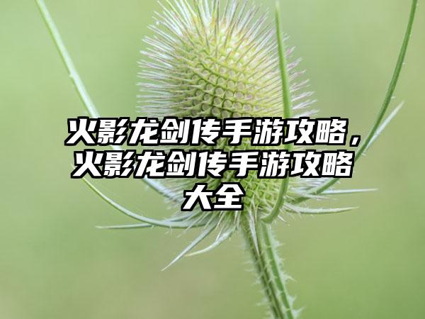 火影龙剑传手游攻略，火影龙剑传手游攻略大全
