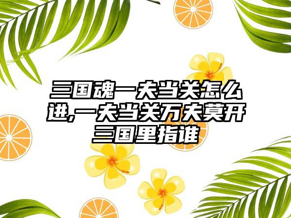 三国魂一夫当关怎么进,一夫当关万夫莫开三国里指谁