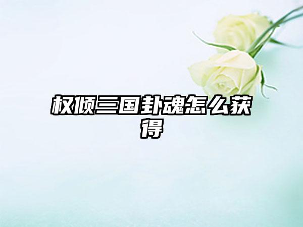 权倾三国卦魂怎么获得