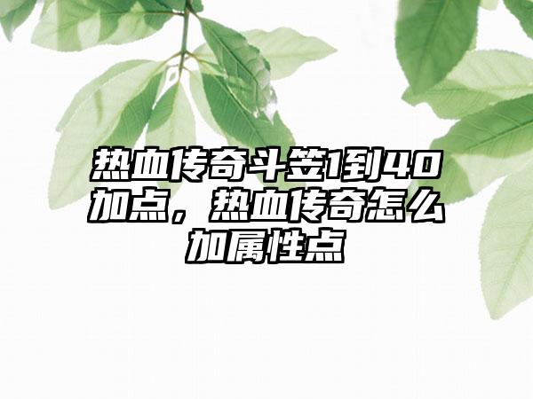 热血传奇斗笠1到40加点，热血传奇怎么加属性点