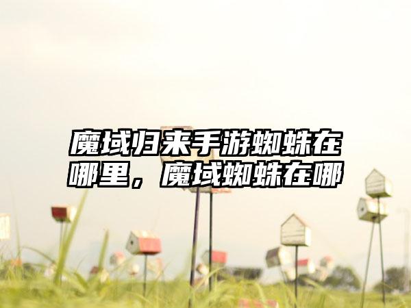 魔域归来手游蜘蛛在哪里，魔域蜘蛛在哪