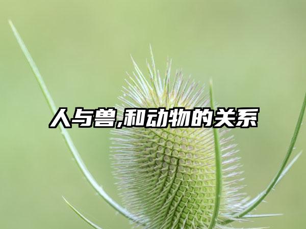 人与兽,和动物的关系
