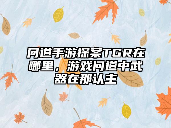 问道手游探案TGR在哪里，游戏问道中武器在那认主