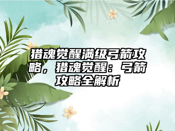 猎魂觉醒满级弓箭攻略，猎魂觉醒：弓箭攻略全解析