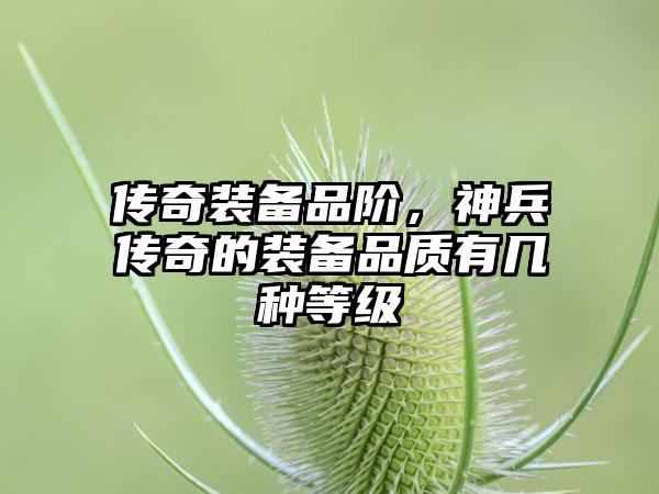 传奇装备品阶，神兵传奇的装备品质有几种等级