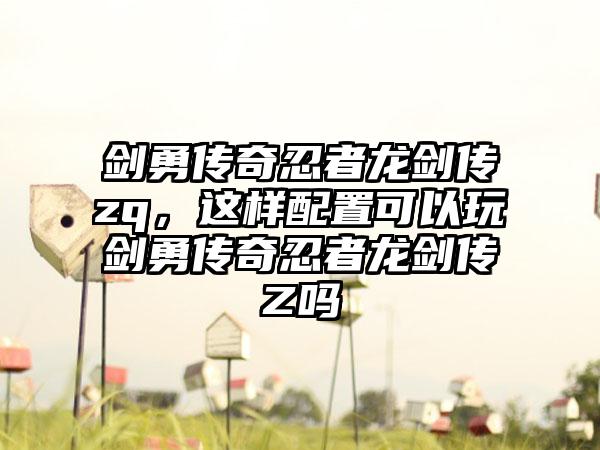 剑勇传奇忍者龙剑传zq，这样配置可以玩剑勇传奇忍者龙剑传Z吗