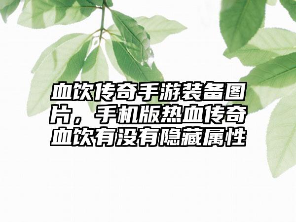 血饮传奇手游装备图片，手机版热血传奇血饮有没有隐藏属性