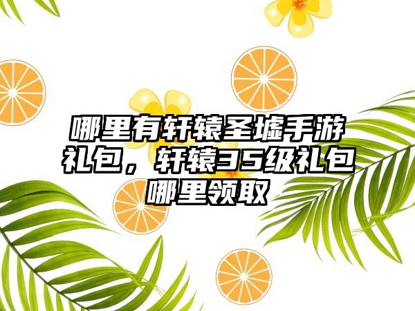 哪里有轩辕圣墟手游礼包，轩辕35级礼包哪里领取