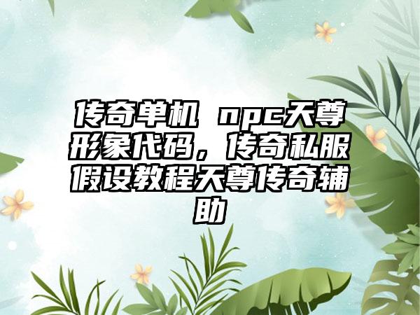 传奇单机 npc天尊形象代码，传奇私服假设教程天尊传奇辅助
