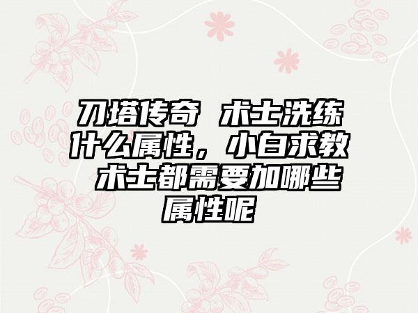 刀塔传奇 术士洗练什么属性，小白求教 术士都需要加哪些属性呢