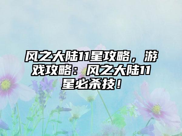 风之大陆11星攻略，游戏攻略：风之大陆11星必杀技！