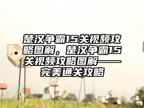 楚汉争霸15关视频攻略图解，楚汉争霸15关视频攻略图解——完美通关攻略