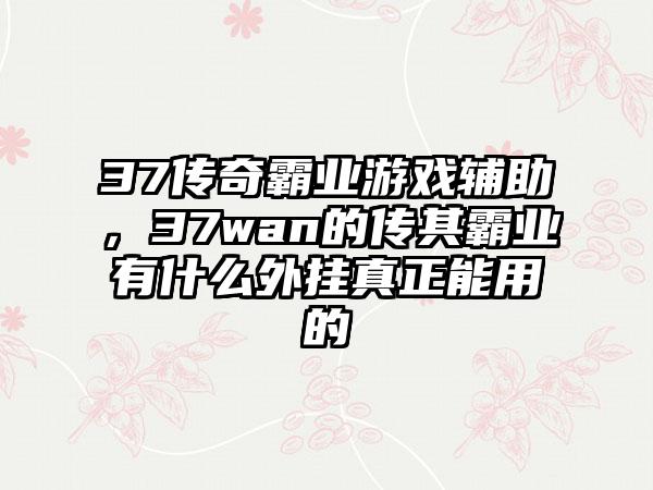 37传奇霸业游戏辅助，37wan的传其霸业有什么外挂真正能用的