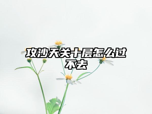 攻沙天关十层怎么过不去