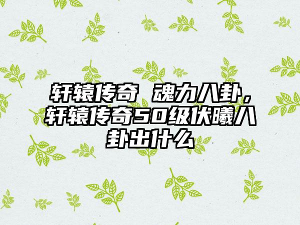 轩辕传奇 魂力八卦，轩辕传奇50级伏曦八卦出什么