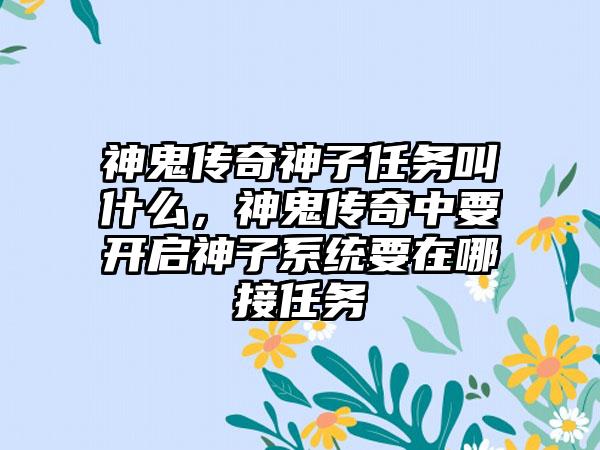 神鬼传奇神子任务叫什么，神鬼传奇中要开启神子系统要在哪接任务