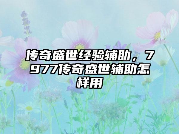 传奇盛世经验辅助，7977传奇盛世辅助怎样用
