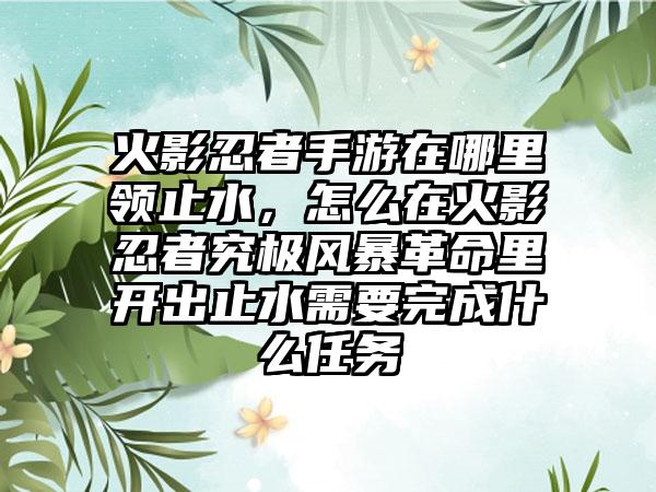 火影忍者手游在哪里领止水，怎么在火影忍者究极风暴革命里开出止水需要完成什么任务