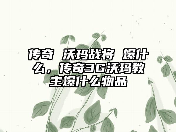 传奇 沃玛战将 爆什么，传奇3G沃玛教主爆什么物品