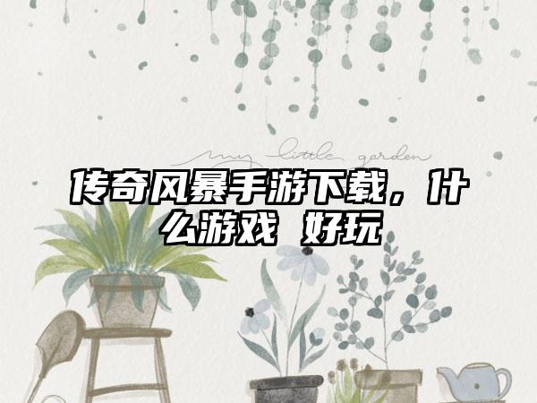 传奇风暴手游下载，什么游戏 好玩