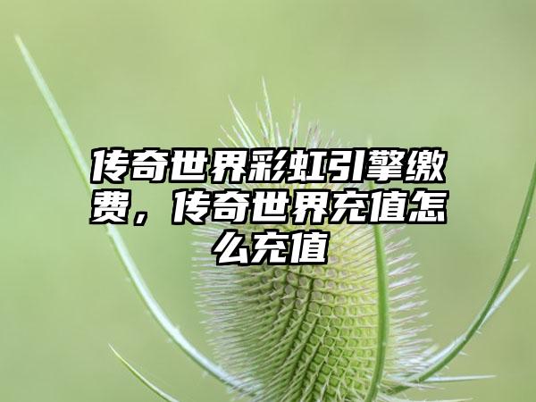 传奇世界彩虹引擎缴费，传奇世界充值怎么充值