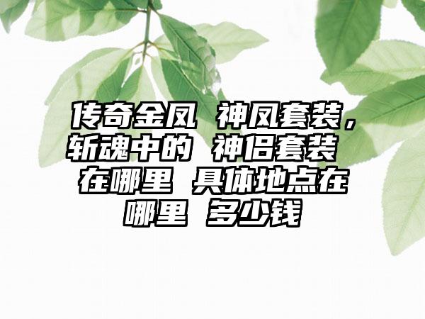 传奇金凤 神凤套装，斩魂中的 神侣套装 在哪里 具体地点在哪里 多少钱
