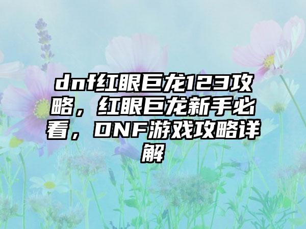 dnf红眼巨龙123攻略，红眼巨龙新手必看，DNF游戏攻略详解