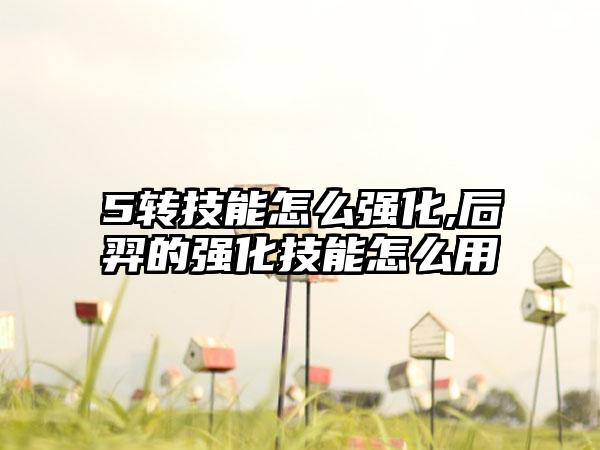 5转技能怎么强化,后羿的强化技能怎么用