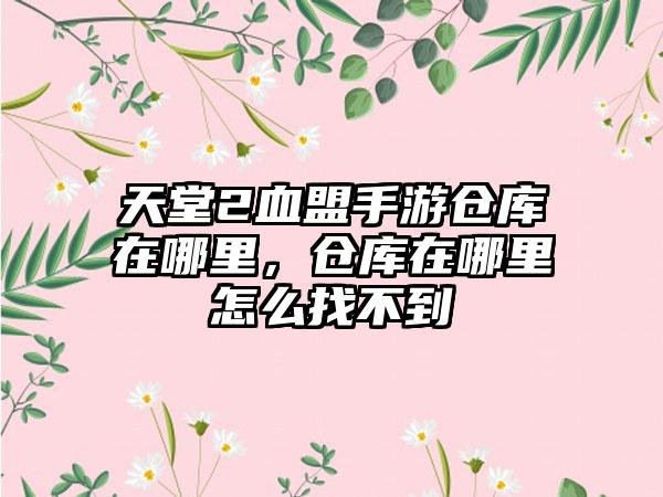 天堂2血盟手游仓库在哪里，仓库在哪里怎么找不到