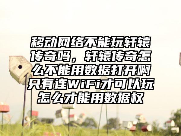 移动网络不能玩轩辕传奇吗，轩辕传奇怎么不能用数据打开啊只有连WiFi才可以玩怎么才能用数据权