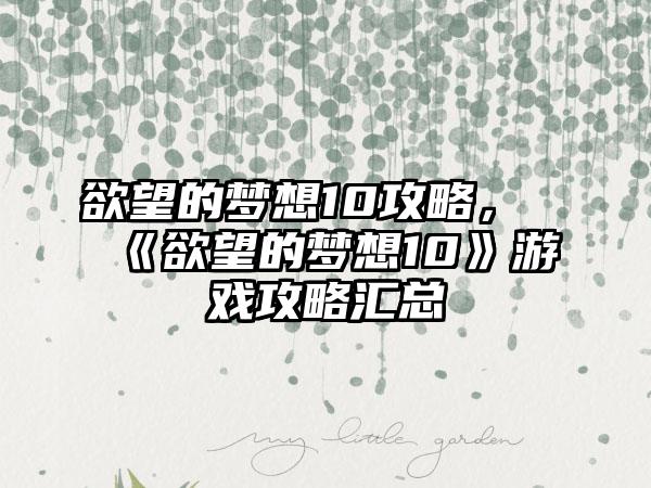 欲望的梦想10攻略，《欲望的梦想10》游戏攻略汇总