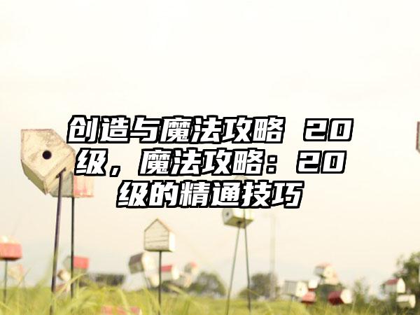创造与魔法攻略 20级，魔法攻略：20级的精通技巧
