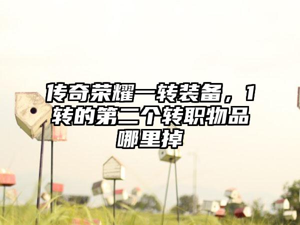 传奇荣耀一转装备，1转的第二个转职物品哪里掉