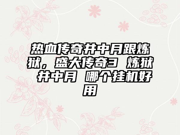 热血传奇井中月跟炼狱，盛大传奇3 炼狱 井中月 哪个挂机好用