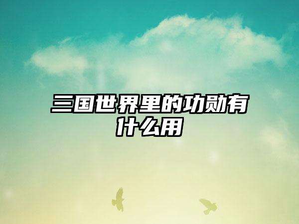 三国世界里的功勋有什么用