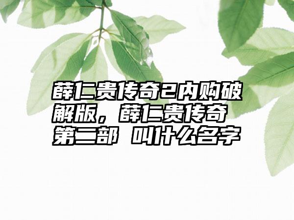 薛仁贵传奇2内购破解版，薛仁贵传奇 第二部 叫什么名字