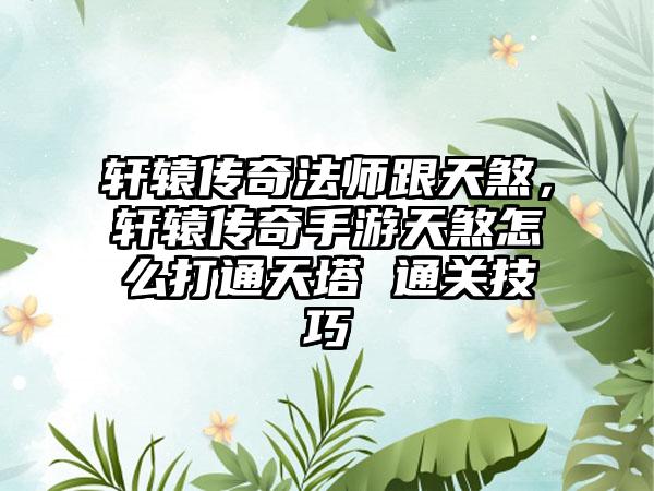 轩辕传奇法师跟天煞，轩辕传奇手游天煞怎么打通天塔 通关技巧