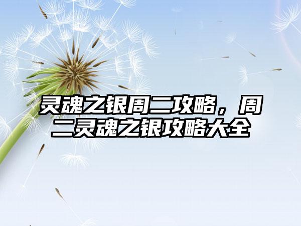 灵魂之银周二攻略，周二灵魂之银攻略大全