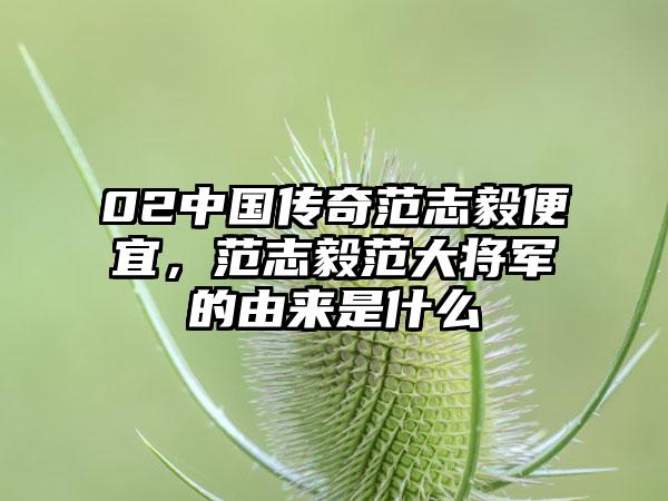 02中国传奇范志毅便宜，范志毅范大将军的由来是什么