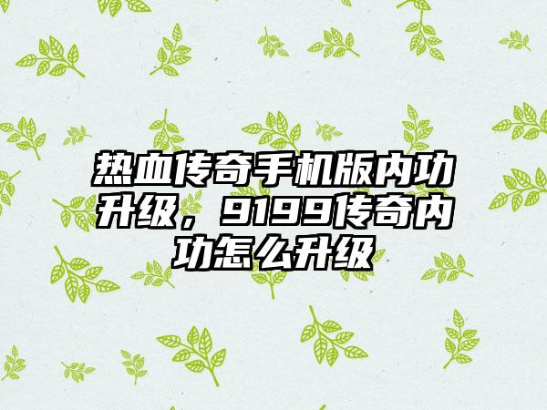 热血传奇手机版内功升级，9199传奇内功怎么升级