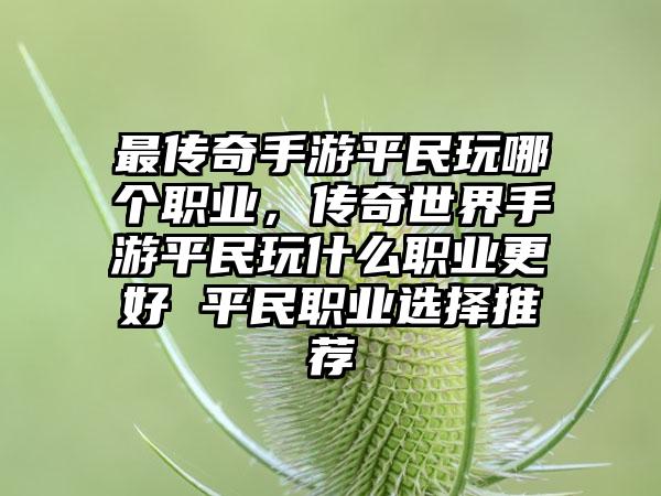 最传奇手游平民玩哪个职业，传奇世界手游平民玩什么职业更好 平民职业选择推荐