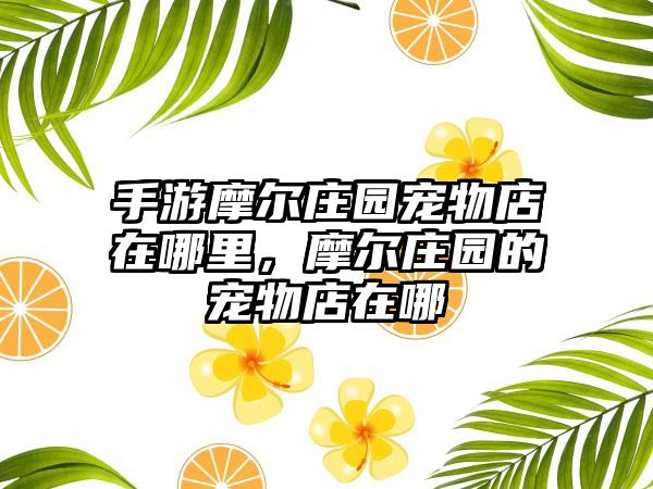 手游摩尔庄园宠物店在哪里，摩尔庄园的宠物店在哪